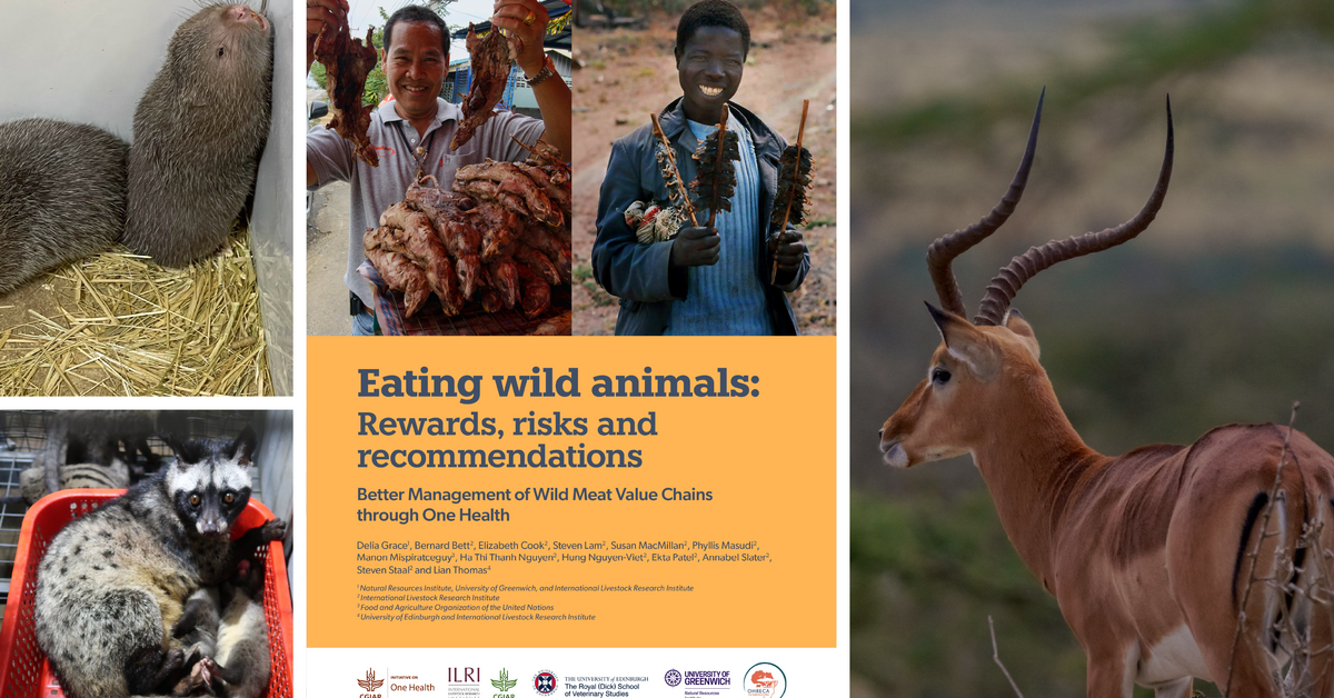 Eating wild animals: The rewards are as big as the risks
